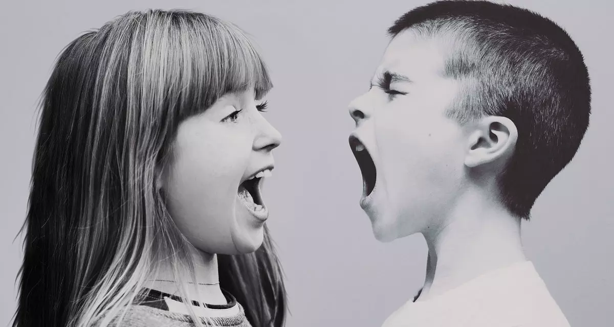 Symbolbild Streiten. Mädchen und Junge schreien sich an. Foto: pixabay.com | Sarah Richter